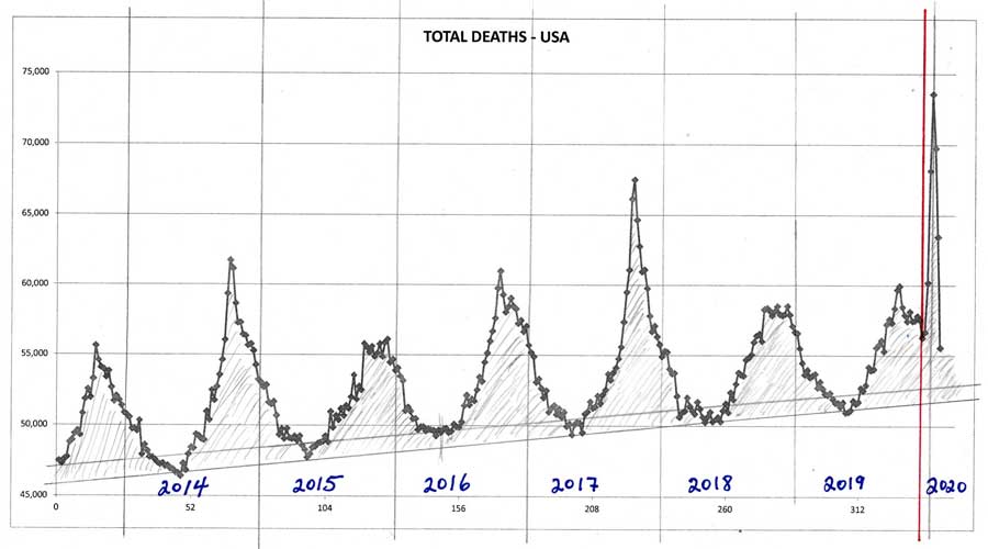 Graphs show the number of deaths from all causes from 1972 until 1993, and 2014 until present time in 2020.